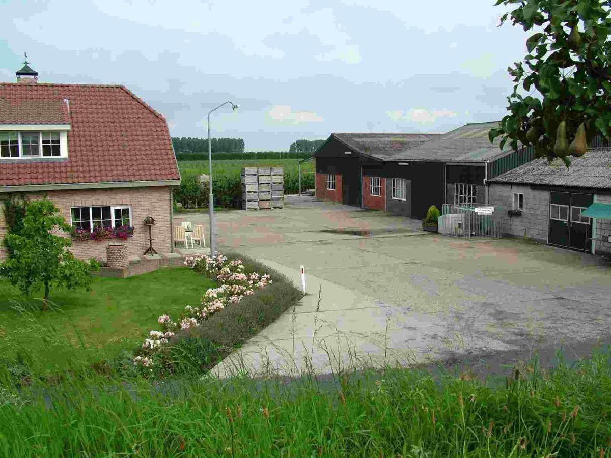 Chalet Elstar Hengstdijk Esterno foto